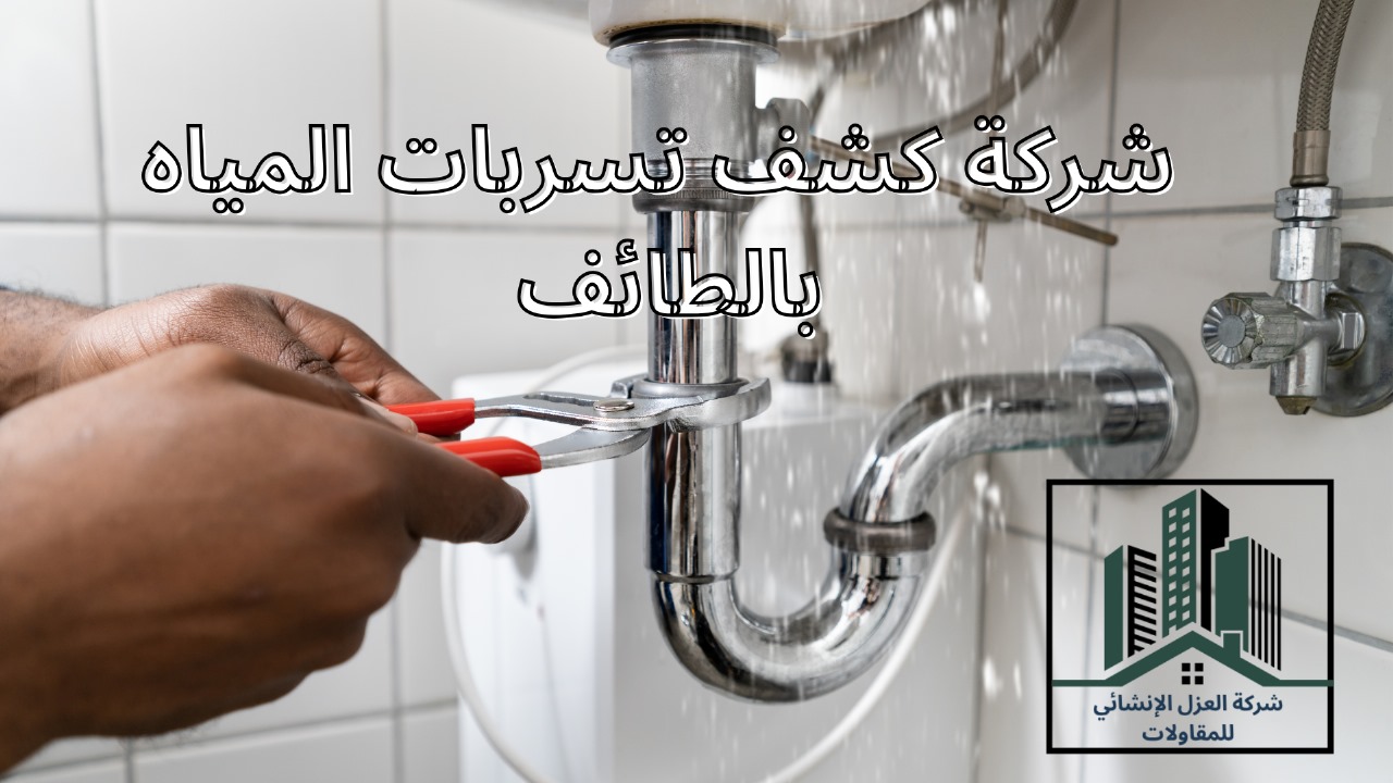 شركة كشف تسربات المياه بالطائف
