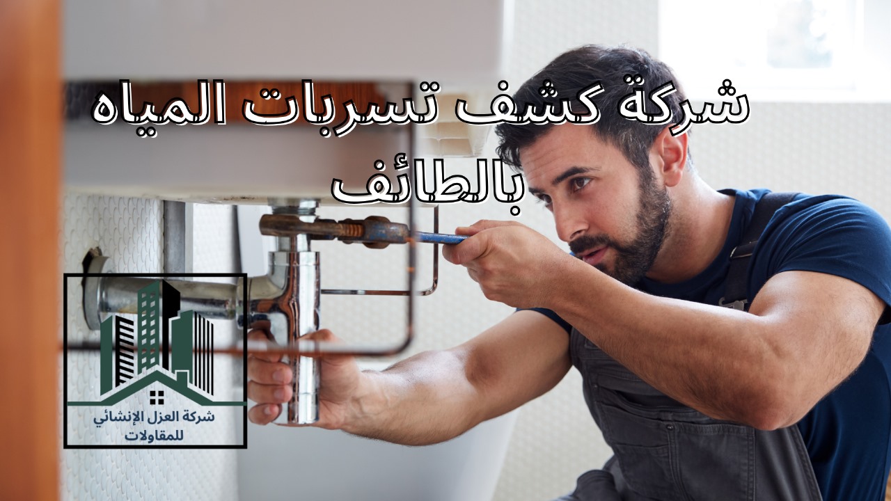 شركة كشف تسربات المياه بالطائف
