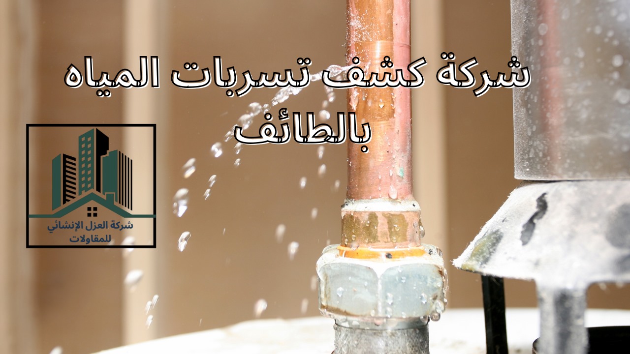 شركة كشف تسربات المياه بالطائف